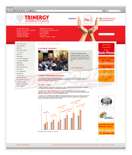 NLP Trinergy