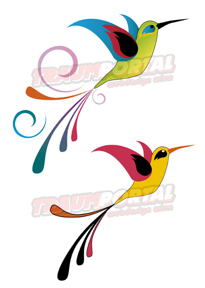kolibri  illustration  grafik design vogel